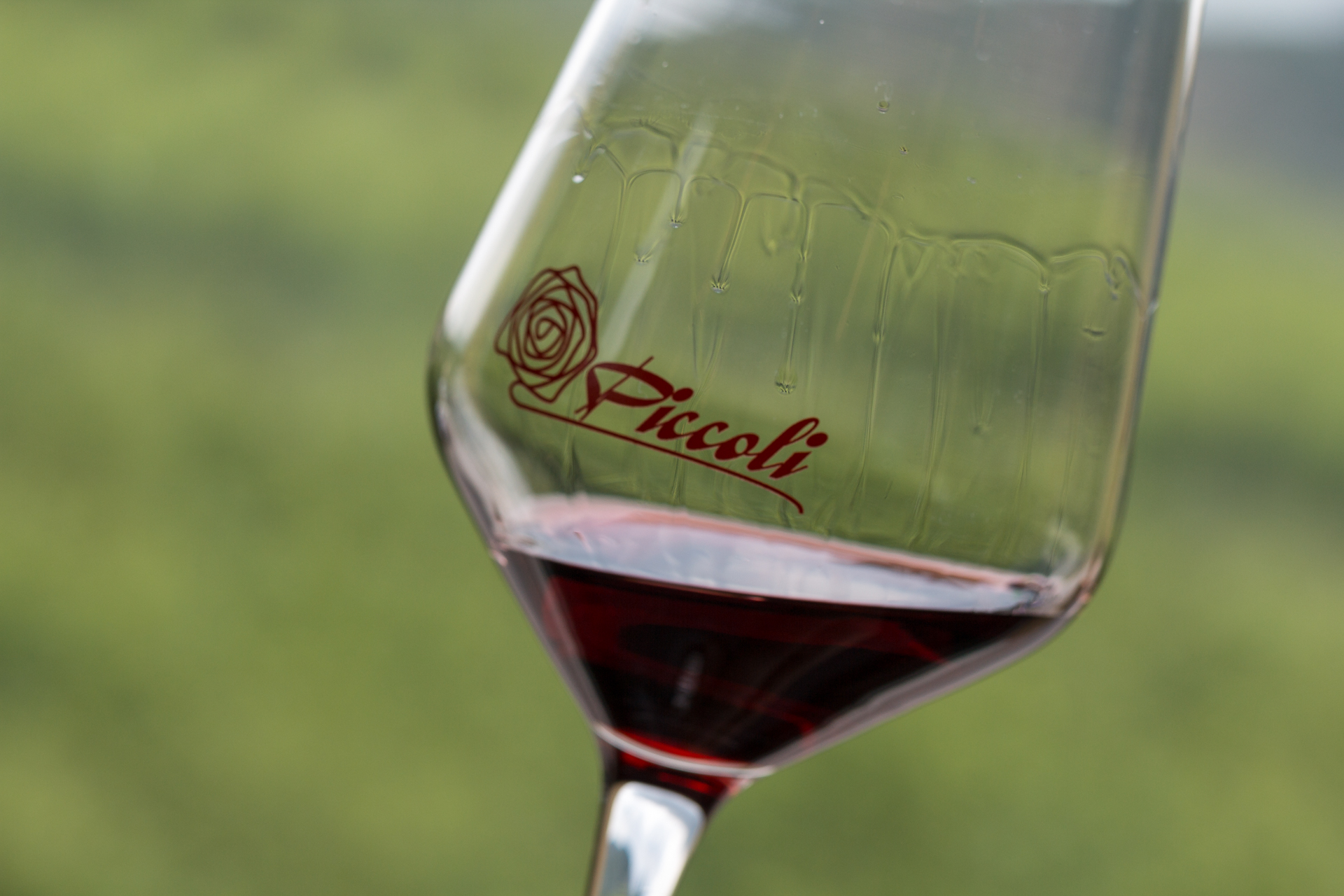 Book your Piccoli Wine Experience!